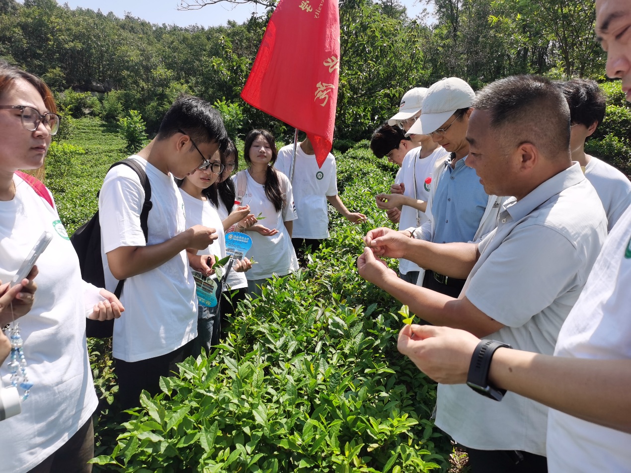 球王会|体育五大联赛最新战报网站